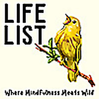 Life List: Where Mindfulness Meets Wild