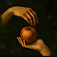 Divorce Your Remarriage