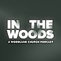 In the Woods