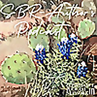 SBR - Author's Podcast