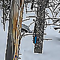 Wilderness Soundscapes