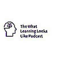 What Learning Looks Like