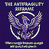 The Antifragility Reframe
