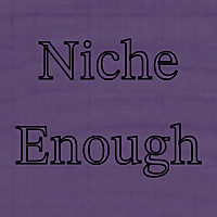 Niche Enough Podcast