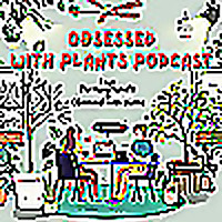 Obsessed with Plants Podcast