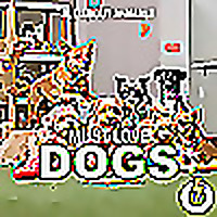 Must Love Dogs