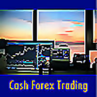 Cash Forex Trading
