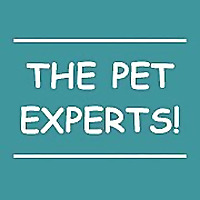 Naperville Animal Hospital Blog