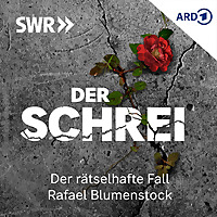 Der Schrei Der r&auml;tselhafte Fall Rafael Blumenstock