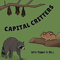 Capital Critters