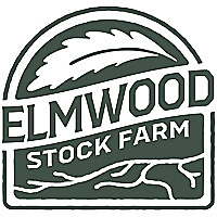 Elmwood Stock Farm Blog