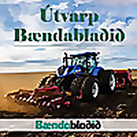 &Uacute;tvarp B&aelig;ndabla&eth;i&eth;