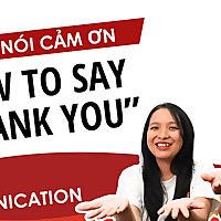 How to say thank you | Cảm ơn | Learn Southern Vietnamese | Learn Vietnamese With SVFF