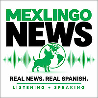 Mexlingo News