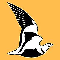 Ornithological Society Of The Middle East