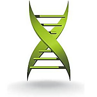 Medical X Press &raquo; Gout