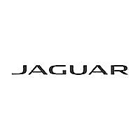 Jaguar Novi