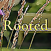 Rooted: The Human Side Of Sustainability Leadership
