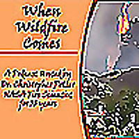 When Wildfire Comes