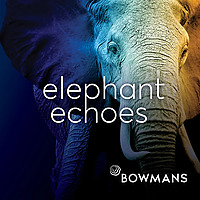 Elephant Echoes