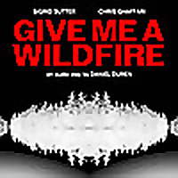 Give Me A Wildfire