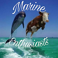 Marine Enthusiasts 
