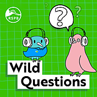 Wild Questions