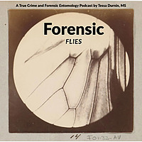 Forensic Flies