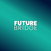 Future Bridge Americas Blog