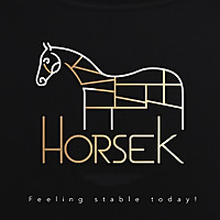 Horse Training Essentials for Beginners