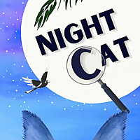 Night Cat: Series for Kids