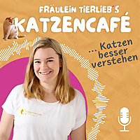 Katzencaf&eacute; - Katzen besser verstehen