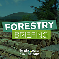 Forestry Journal's Forestry Briefing