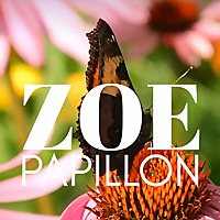 Zoe Papillon: Butterfly in progress ?