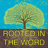 Rooted In The Word