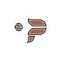 Padel United Sports Club Blog