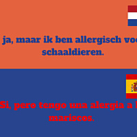 Dutchtogo - Dutch conversations