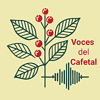 Voces del Cafetal