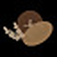 Country Roads Sourdough » Sourdough Bread Recipes