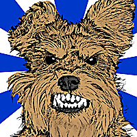 Terrier Spirit &raquo; Tactics