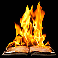 Open the Book Probie