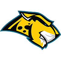 Jaguars Wire