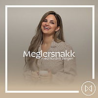 Meglersnakk