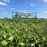 Meanderen over grenzen