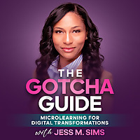 The Gotcha Guide - Micro Learning