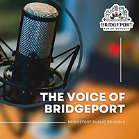 The Voice of the District