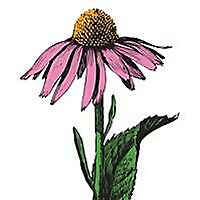 American Botanical Council