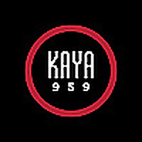 Kaya Biz Inside Your Business
