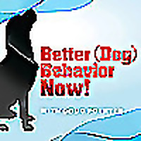 Better (Dog) Behavior Now!