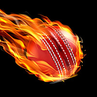 Late Night Cricket